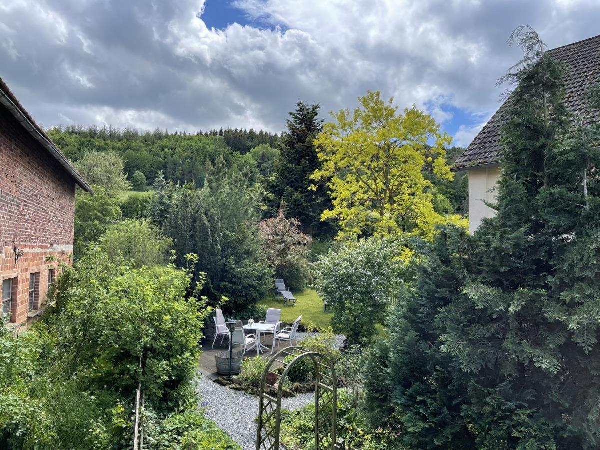 Bergparadies Diemelsee Schweinsbuhl Εξωτερικό φωτογραφία