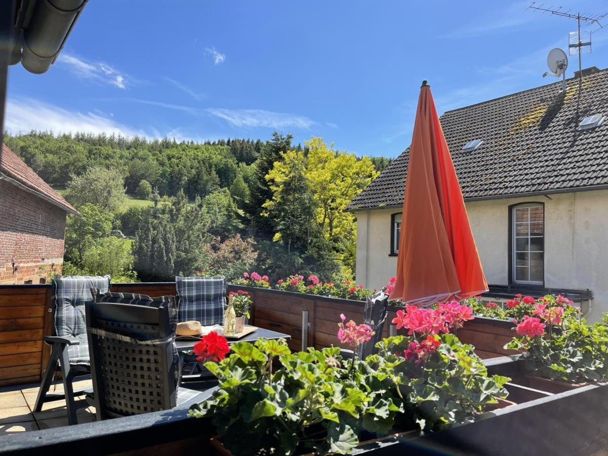 Bergparadies Diemelsee Schweinsbuhl Εξωτερικό φωτογραφία
